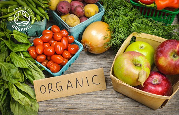 
          
            A Watershed For Organic? - Clearspring
          
        