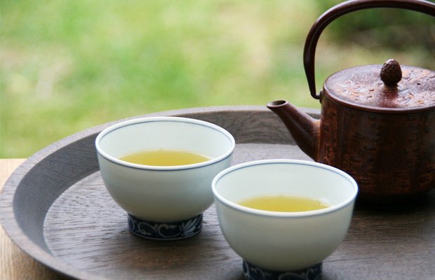 
          
            Brewing the Perfect Cup of Japanese Tea - Clearspring
          
        