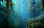 Organic Vs Non-Organic Seaweed / Sea Vegetables. What's the difference? - Clearspring