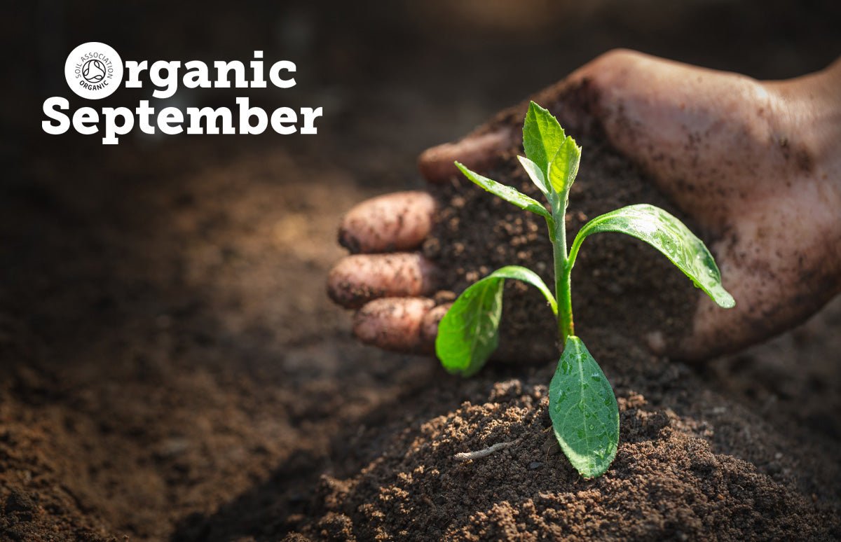 
          
            Why Choose Organic? - Clearspring
          
        