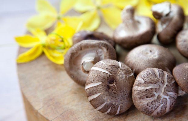 
          
            Shiitake - Miracle Mushrooms - Clearspring
          
        